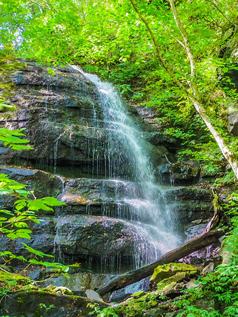 奥入瀬-1